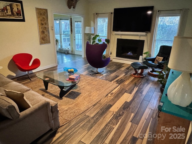 living room featuring hardwood / wood-style floors