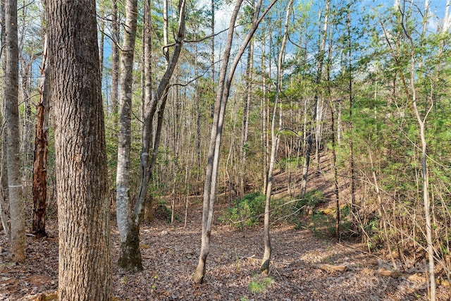 342 Waters Edge Dr Unit 6-16 7-16 8-16 9-16, Nebo, NC 28761