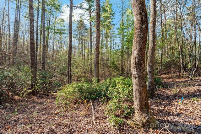 342 Waters Edge Dr Unit 6-16 7-16 8-16 9-16, Nebo, NC 28761