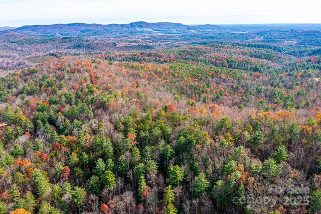 0 Taylorsville Rd, Granite Falls, NC 28645 - photo 24