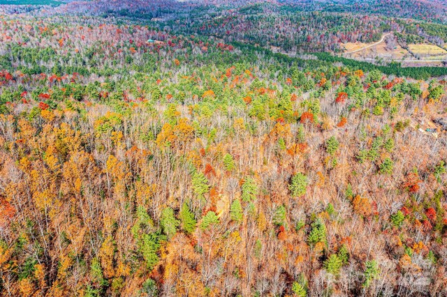 0 Taylorsville Rd, Granite Falls, NC 28645 - photo 27