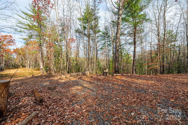 0 Taylorsville Rd, Granite Falls, NC 28645 - photo 4