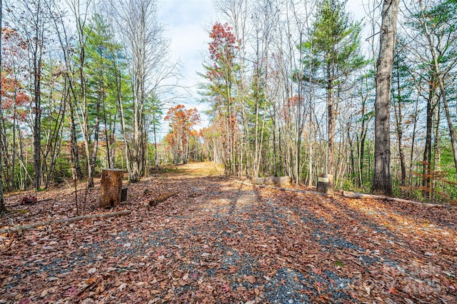 0 Taylorsville Rd, Granite Falls, NC 28645 - photo 5
