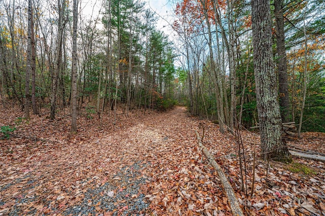 0 Taylorsville Rd, Granite Falls, NC 28645 - photo 6