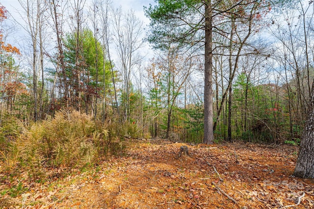 0 Taylorsville Rd, Granite Falls, NC 28645 - photo 7