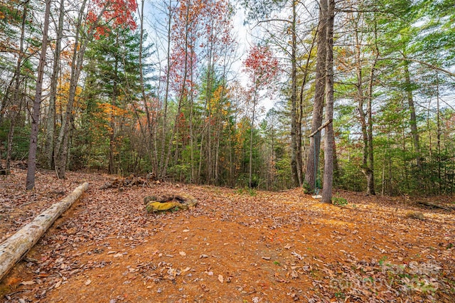 0 Taylorsville Rd, Granite Falls, NC 28645 - photo 10