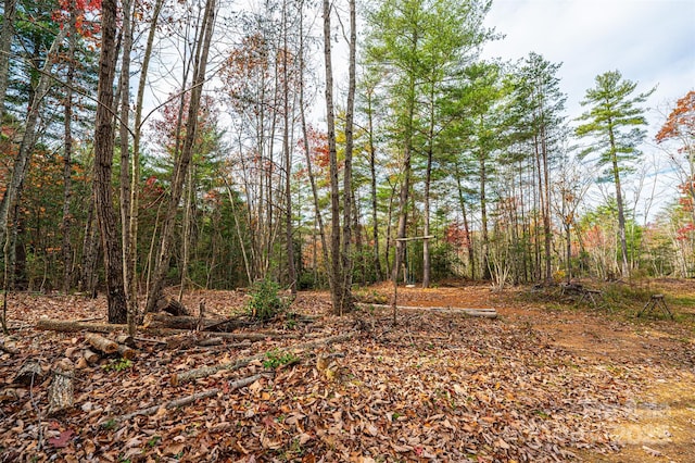 0 Taylorsville Rd, Granite Falls, NC 28645 - photo 11