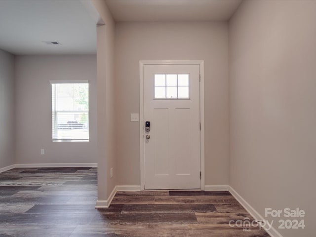 foyer with dark wood-type flooring and a healthy amount of sunlight