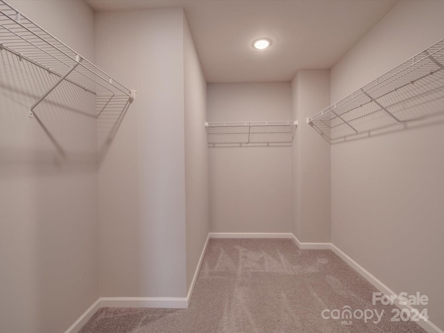 walk in closet with carpet