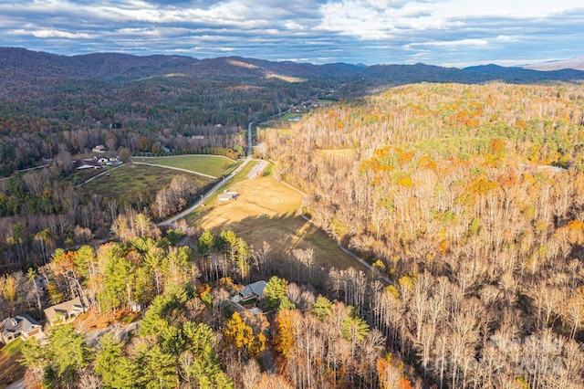 birds eye view of property featuring a mountain view