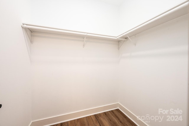 walk in closet with wood-type flooring