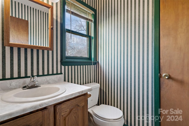 bathroom with vanity and toilet