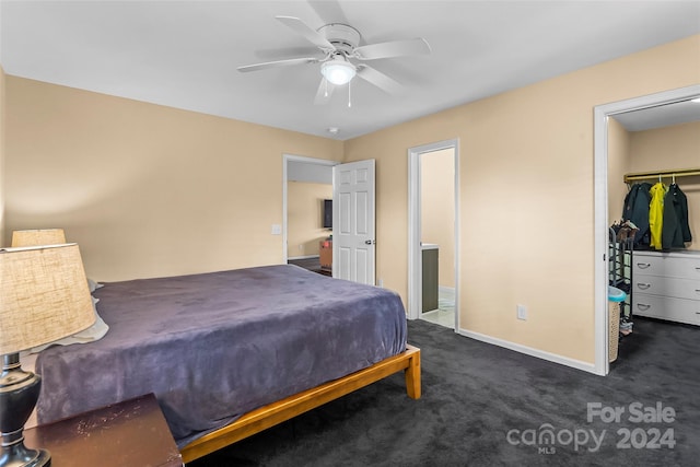 bedroom with a walk in closet, a closet, dark carpet, and ceiling fan