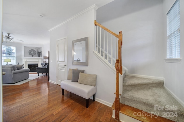 stairs featuring ceiling fan, ornamental molding, and hardwood / wood-style flooring