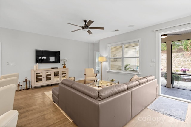 living room featuring ceiling fan and wood-type flooring