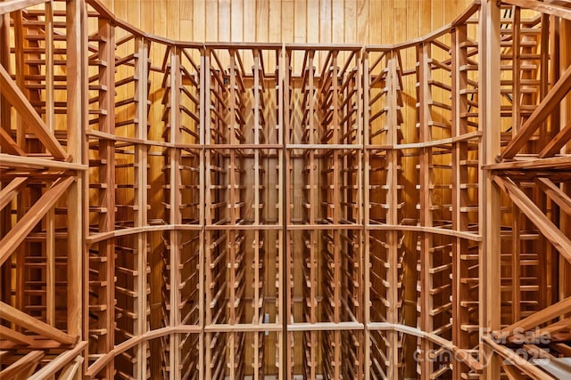 view of wine cellar