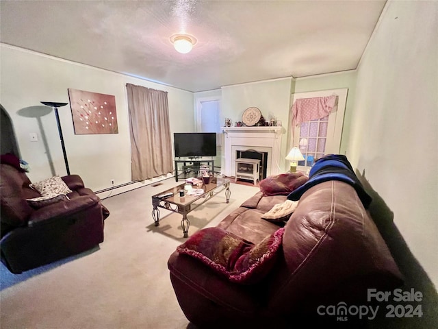 1716 3rd St NE, Hickory, NC 28601 - living room featuring carpet and a baseboard radiator