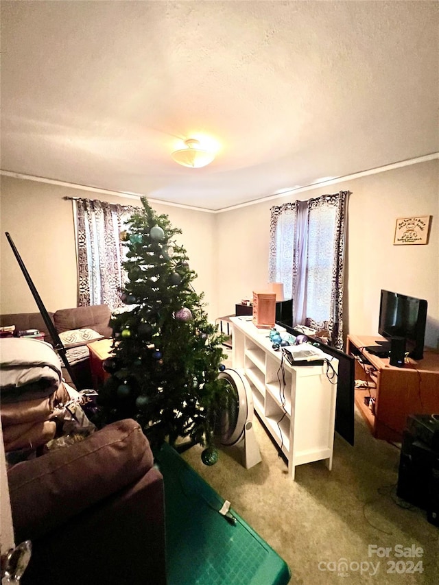 1716 3rd St NE, Hickory, NC 28601 - home office featuring carpet flooring, a textured ceiling, and crown molding