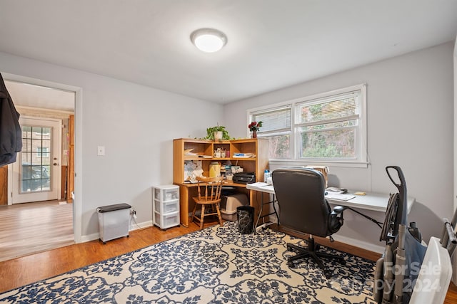 office space featuring wood-type flooring