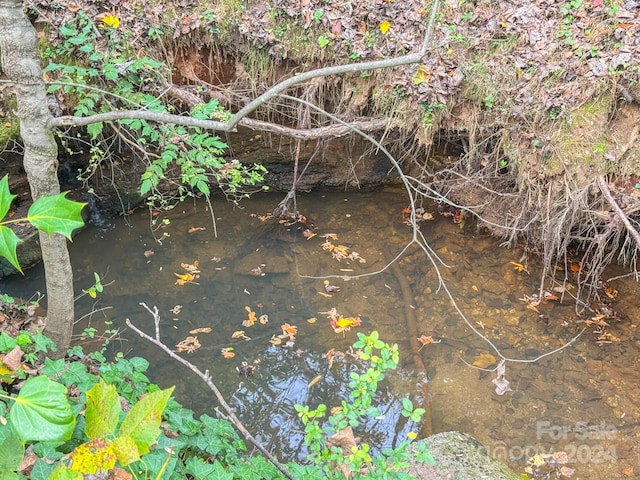 view of local wilderness