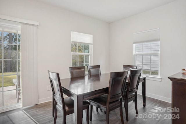 dining room featuring a wealth of natural light and dark hardwood / wood-style flooring