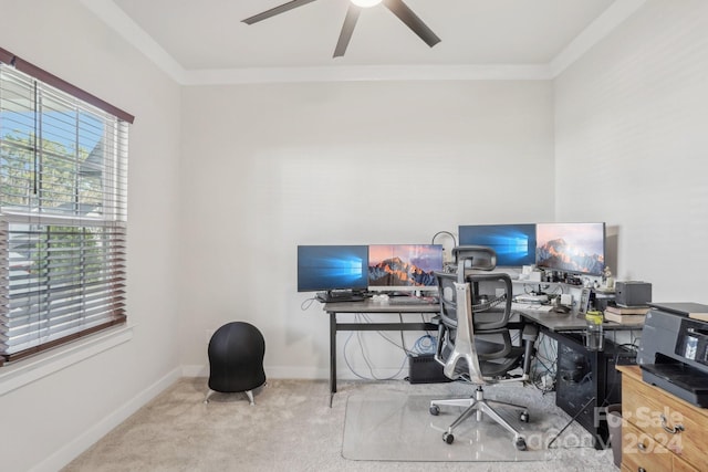 carpeted office with ceiling fan and crown molding