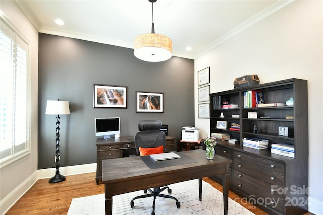 office featuring light hardwood / wood-style floors and ornamental molding