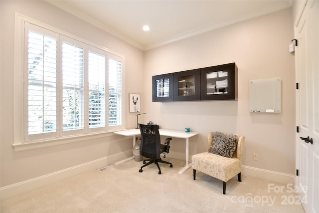 office with carpet floors and crown molding