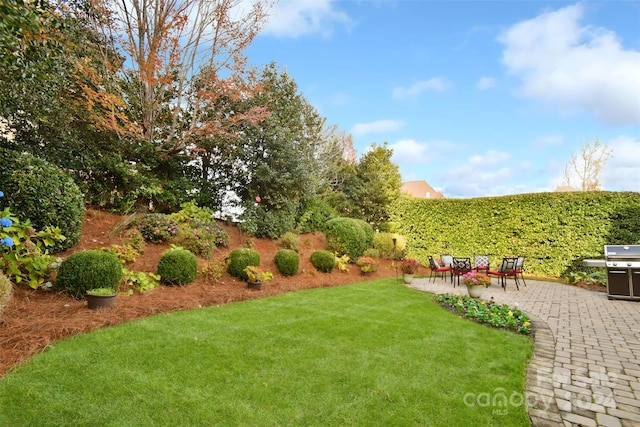 view of yard with a patio area