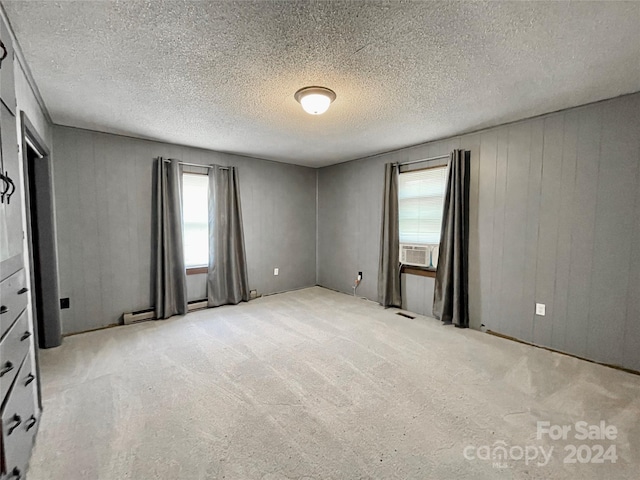 unfurnished room featuring light colored carpet, a textured ceiling, and a wealth of natural light