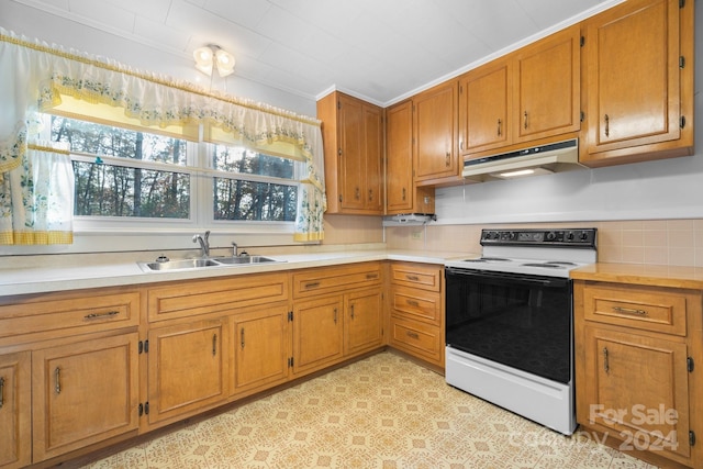 kitchen featuring backsplash, white range with electric stovetop, and sink