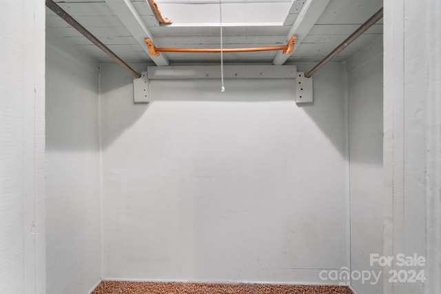 walk in closet featuring carpet floors