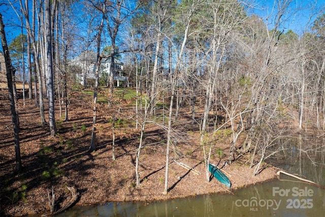 view of local wilderness featuring a water view