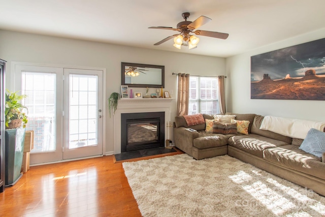 living room featuring ceiling fan, plenty of natural light, and light hardwood / wood-style floors