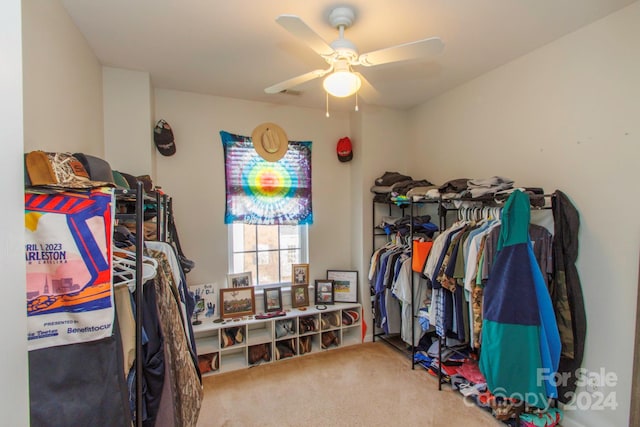 spacious closet featuring carpet flooring and ceiling fan