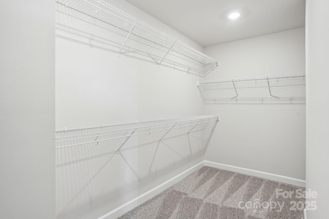 spacious closet with carpet flooring