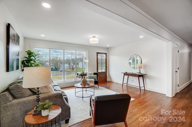 living room featuring hardwood / wood-style floors