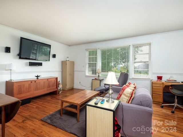 living room with hardwood / wood-style floors