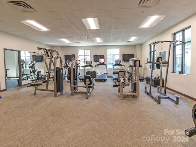 workout area featuring a drop ceiling, a healthy amount of sunlight, and light carpet