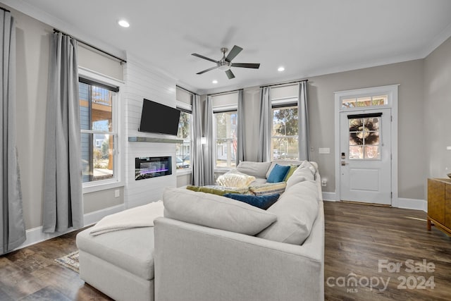 living room featuring a healthy amount of sunlight, dark wood-type flooring, and ornamental molding