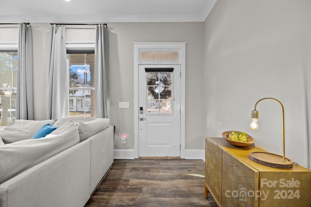 foyer with dark hardwood / wood-style flooring and ornamental molding