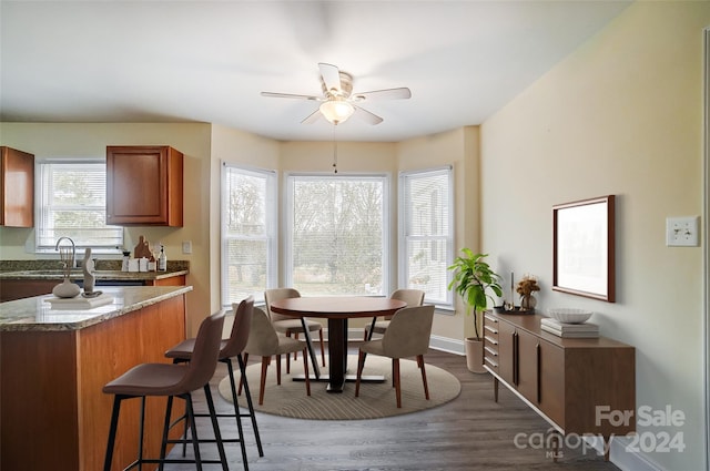 dining space with hardwood / wood-style flooring, ceiling fan, a healthy amount of sunlight, and sink