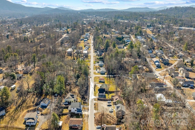 birds eye view of property featuring a mountain view