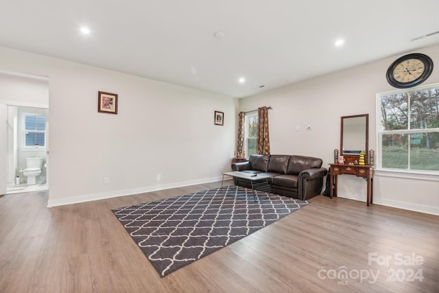 living room with hardwood / wood-style flooring