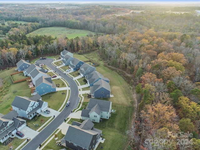 bird's eye view