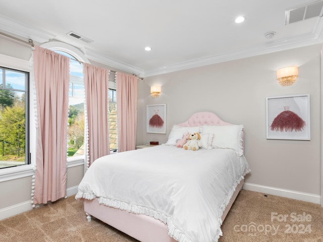 345 Scarlet Tanager Ct, Arden, NC 28704