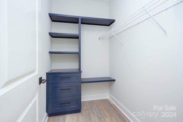 spacious closet with light hardwood / wood-style flooring