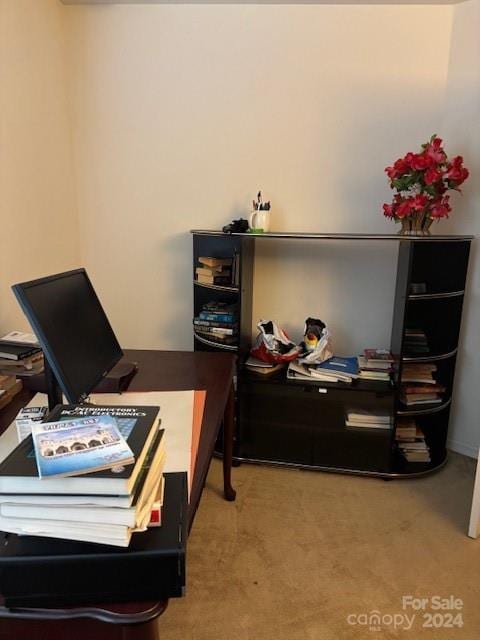 office area featuring carpet floors