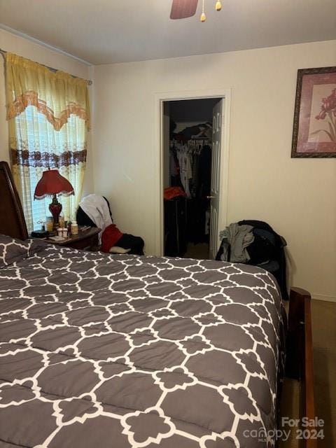 bedroom featuring hardwood / wood-style flooring, ceiling fan, a spacious closet, and a closet