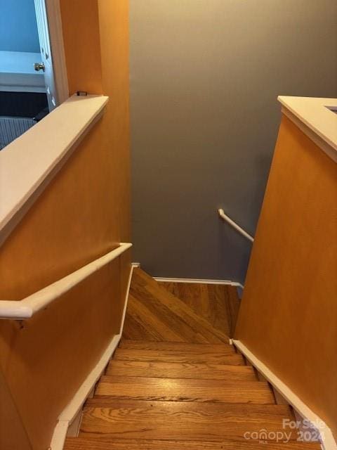 stairway with hardwood / wood-style floors